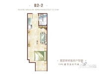 瑞士酒店公寓B2-2户型1室1卫1厨 43.23㎡