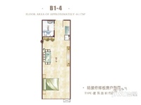瑞士酒店公寓B1-4户型1室1卫1厨 44.17㎡