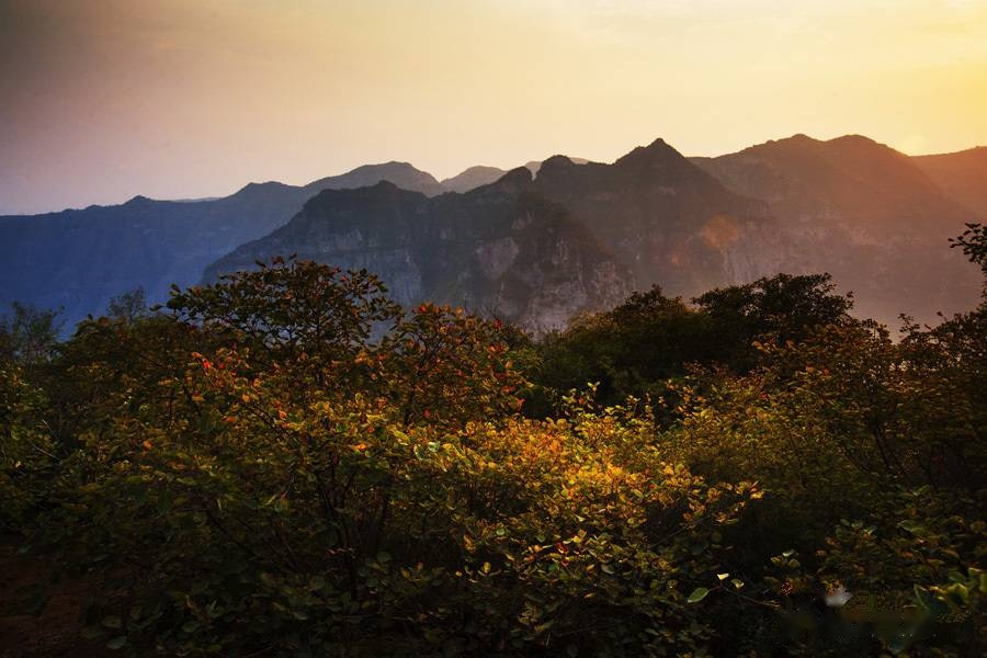 青龙山国际生态示范区实景图