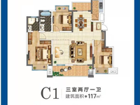 C1户型 ,3室2厅,117平米